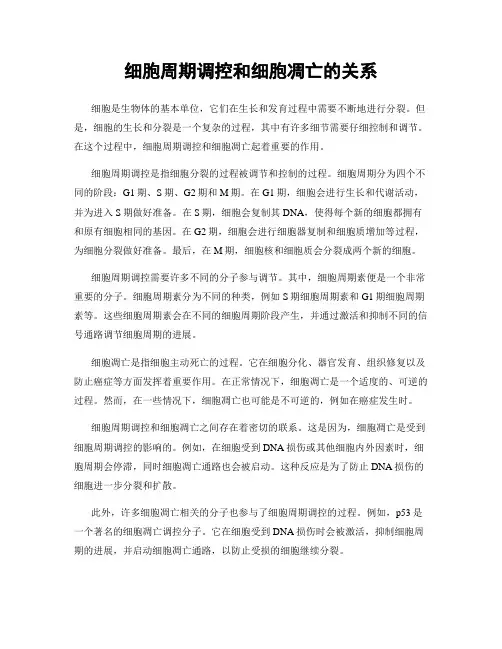 细胞周期调控和细胞凋亡的关系