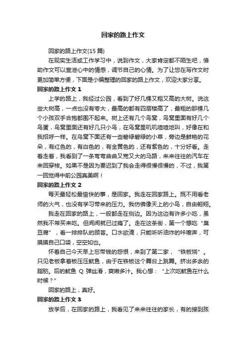 回家的路上作文