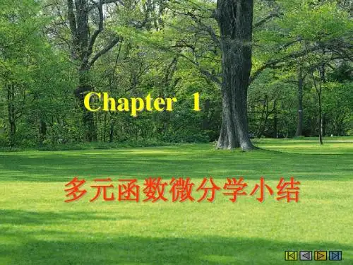 3chapter1(8)多元函数微分学小结
