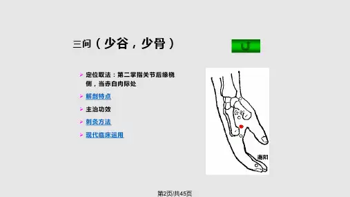 针灸学4手阳明大肠经.pptx