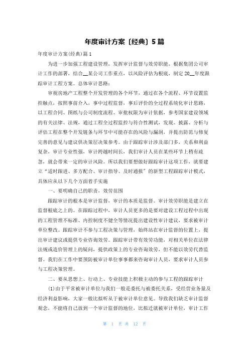 年度审计计划(经典)5篇