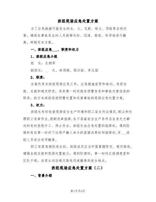 班组现场应急处置方案(二篇)