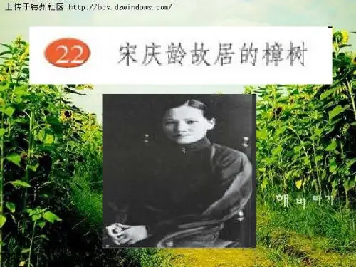 22、宋庆龄故居的樟树