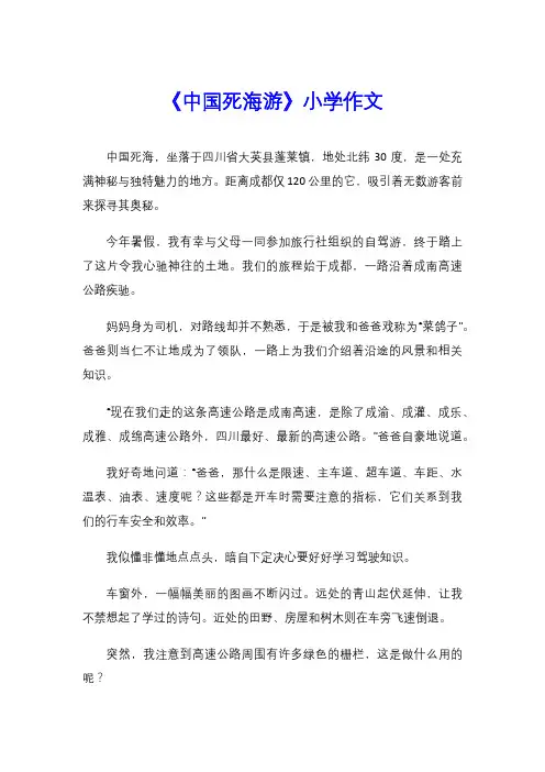 《中国死海游》小学作文