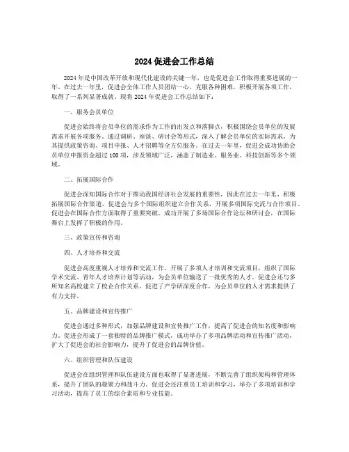 2024促进会工作总结