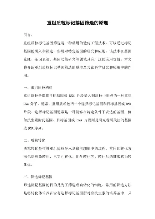 重组质粒标记基因筛选的原理