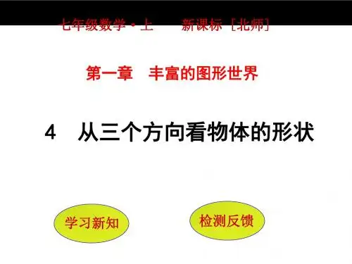 丰富的图形世界 PPT课件 13(7份) 北师大版5