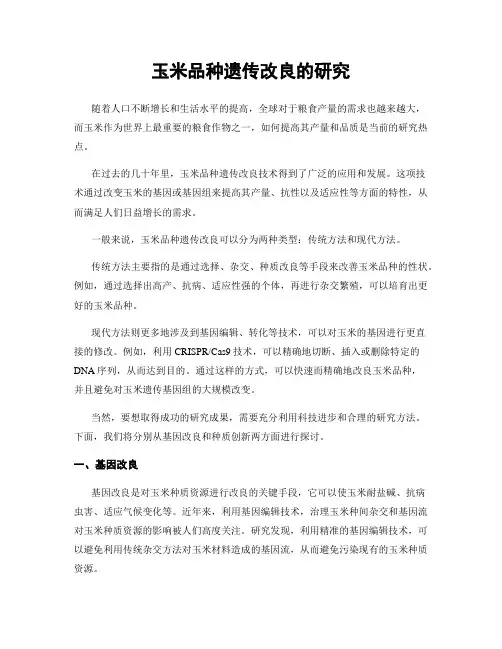 玉米品种遗传改良的研究