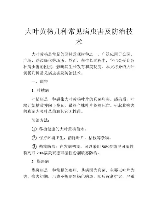 大叶黄杨几种常见病虫害及防治技术