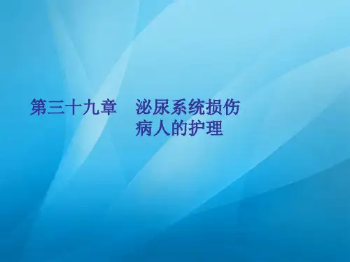 外科护理学--泌尿系统损伤病人的护理  ppt课件