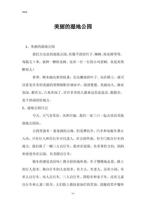 美丽的湿地公园