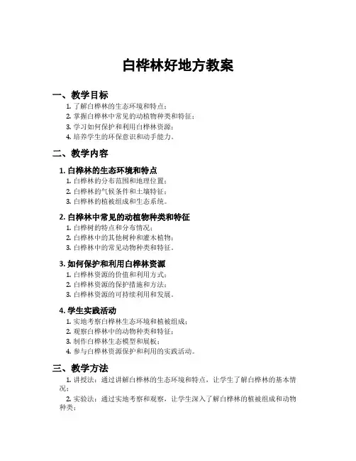 白桦林好地方教案