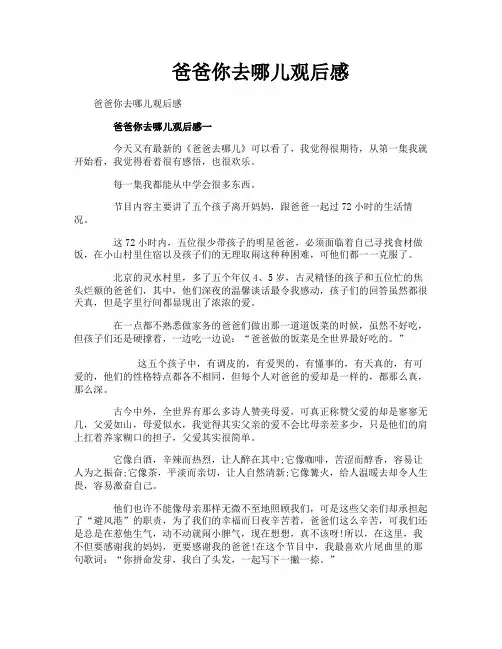 爸爸你去哪儿观后感