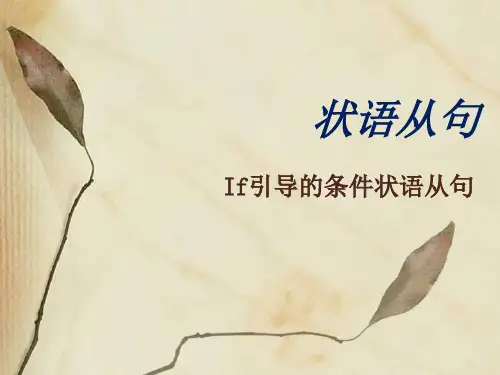 if引导的条件状语从句.优秀精选PPT