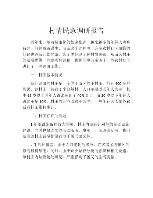 村情民意调研报告