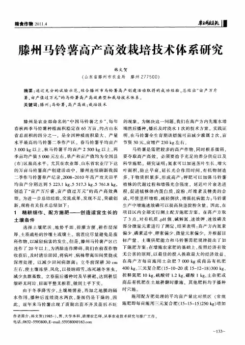 滕州马铃薯高产高效栽培技术体系研究