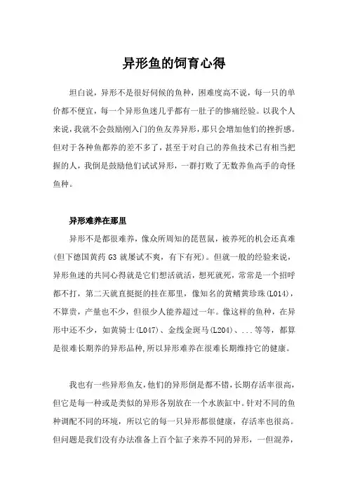 异形鱼的饲育心得