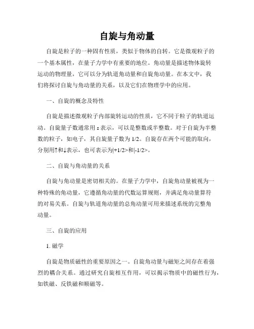 自旋与角动量