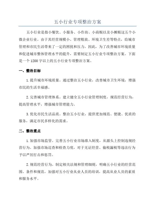 五小行业专项整治方案