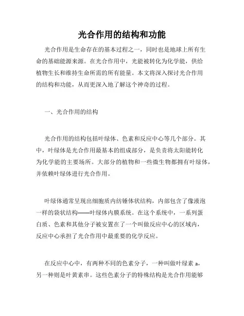 光合作用的结构和功能