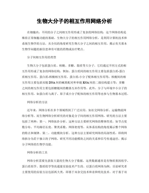 生物大分子的相互作用网络分析
