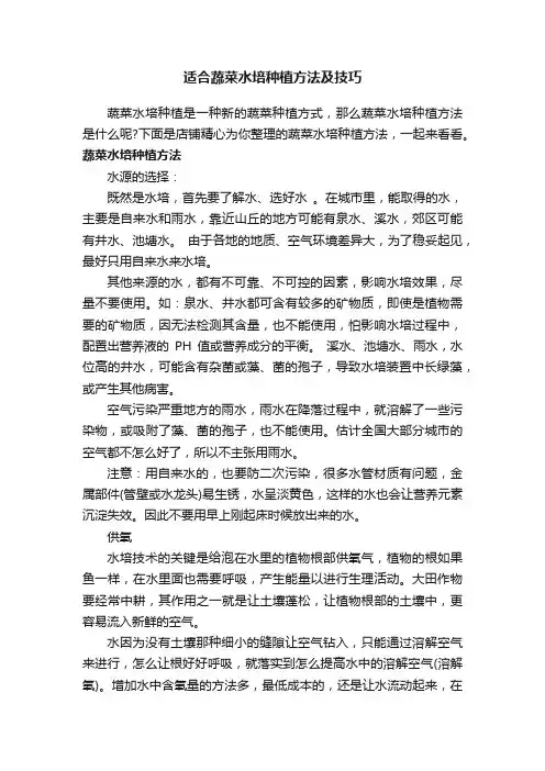 适合蔬菜水培种植方法及技巧