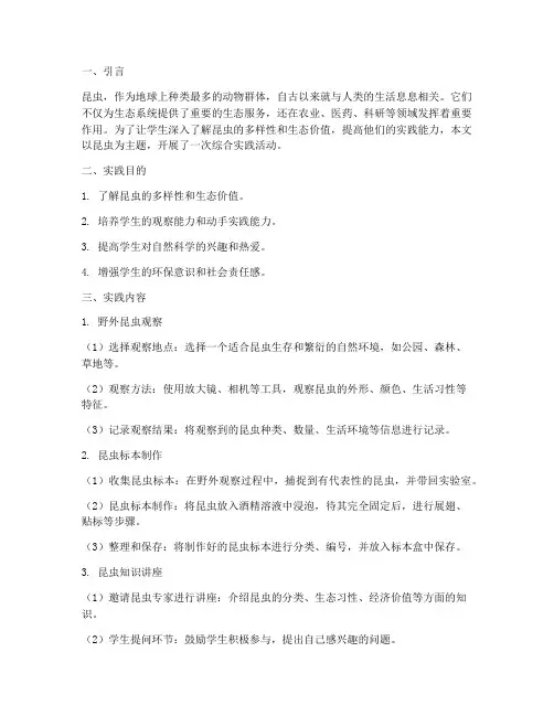昆虫的综合实践