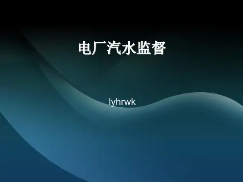 电厂汽水监督