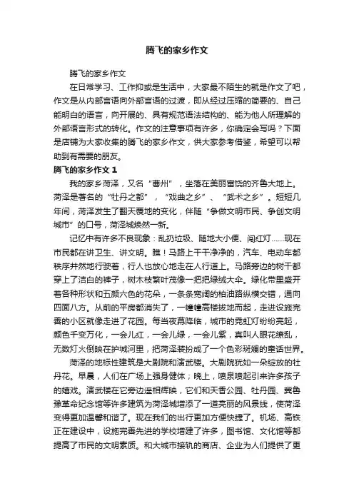 腾飞的家乡作文