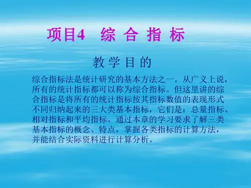 项目4综合指标