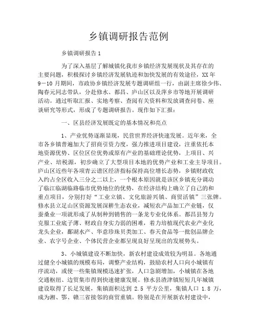 乡镇调研报告范例