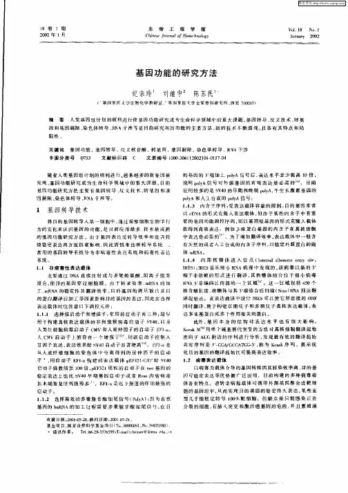 基因功能的研究方法