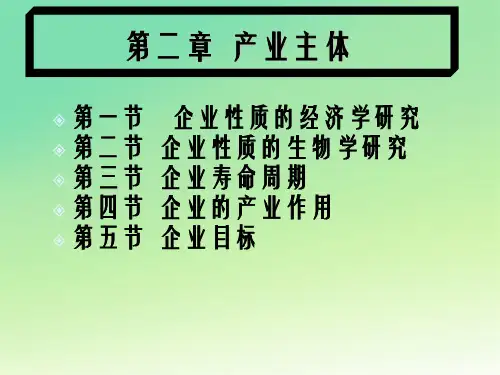 产业经济学2教程