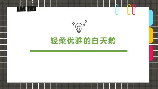 6-8岁轻柔优雅的白天鹅—美术课件