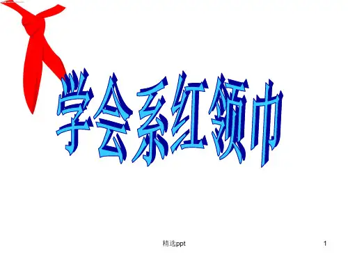 学会系红领巾ppt课件