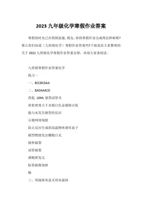 2023九年级化学寒假作业答案
