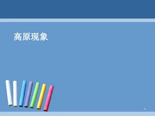 教育心理学_高原反应ppt课件