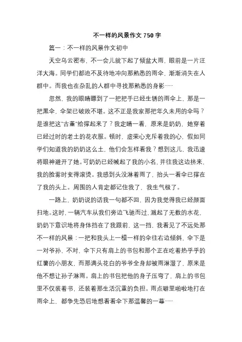 不一样的风景作文750字