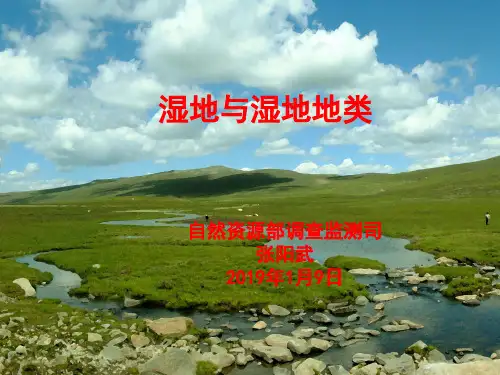 湿地及其分类-国土三调课件