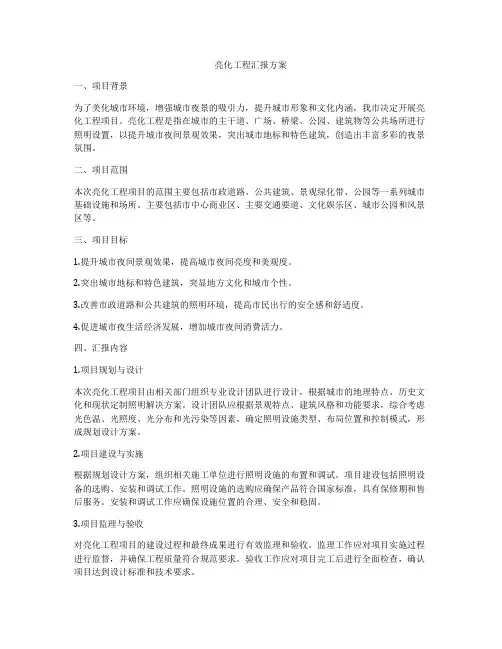 亮化工程汇报方案