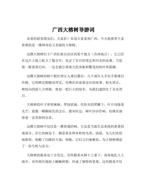 广西大榕树导游词