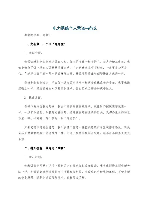 电力系统个人承诺书范文