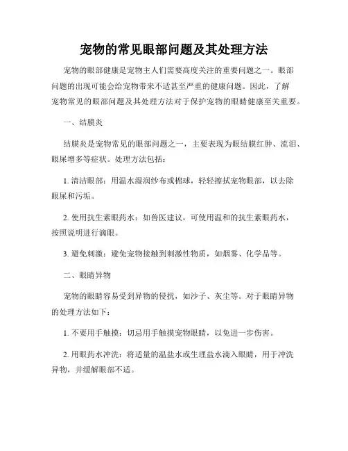宠物的常见眼部问题及其处理方法