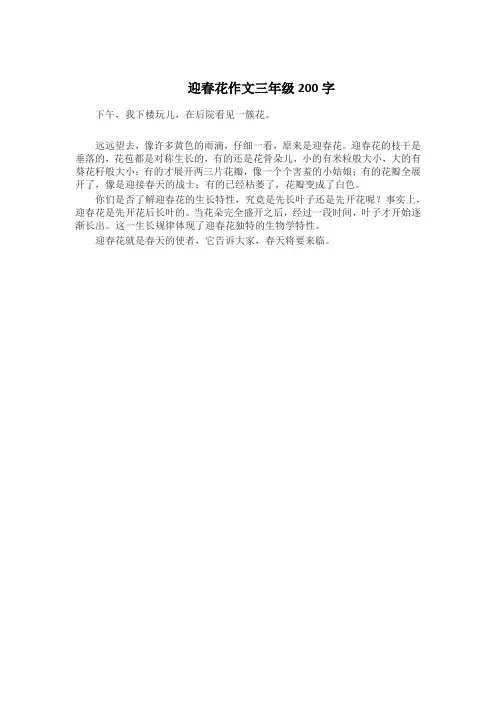 迎春花作文三年级200字