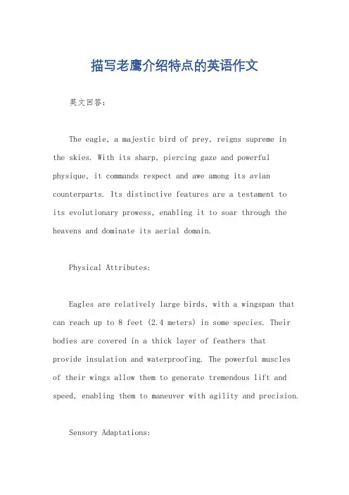 描写老鹰介绍特点的英语作文