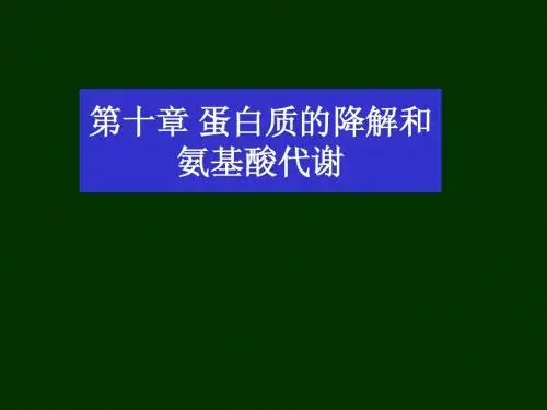 东北师范大学生物化学 第十章氨基酸代谢