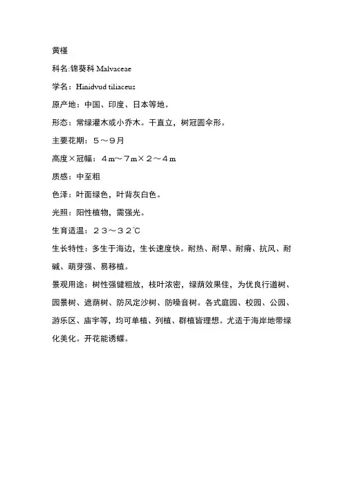 锦葵科.黄槿t