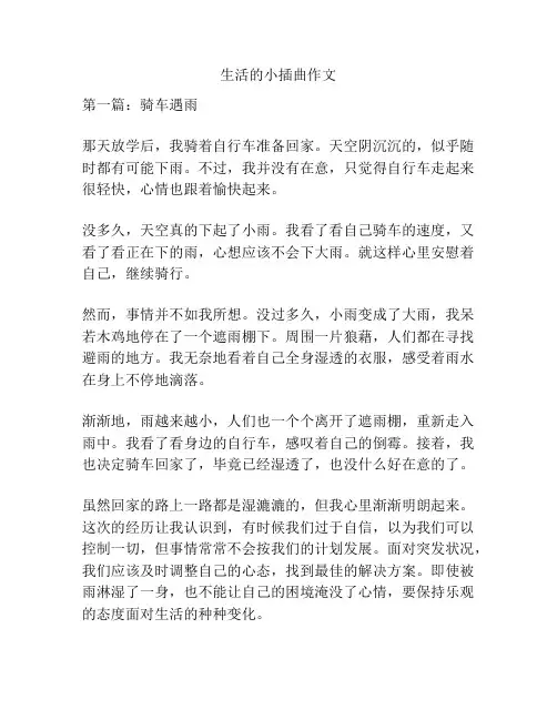 生活的小插曲作文