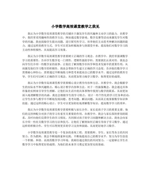 小学数学高效课堂教学之我见