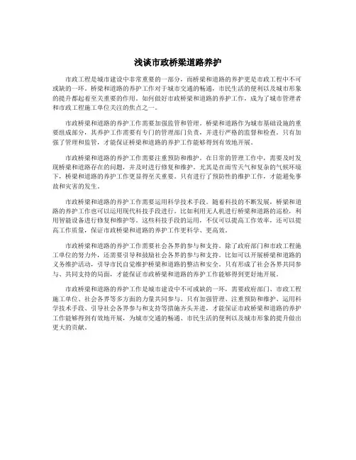浅谈市政桥梁道路养护